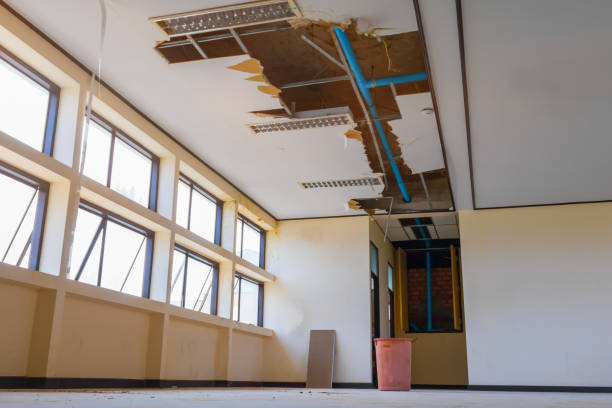 Best Water damage contractors near me  in Brockport, NY