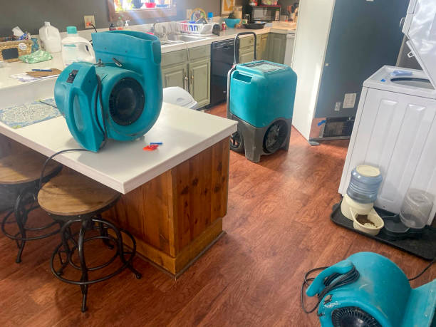 Best Flood damage cleanup  in Brockport, NY