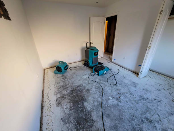 Best Ceiling water damage repair  in Brockport, NY