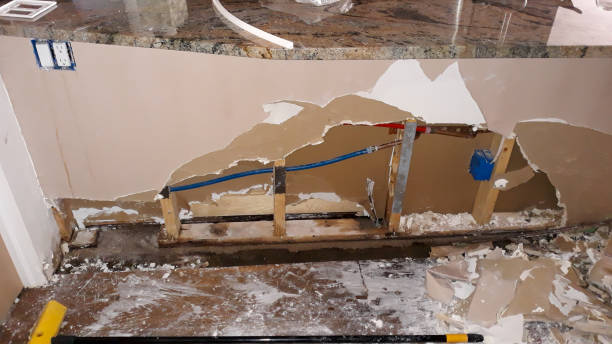 Best Water damage restoration near me  in Brockport, NY