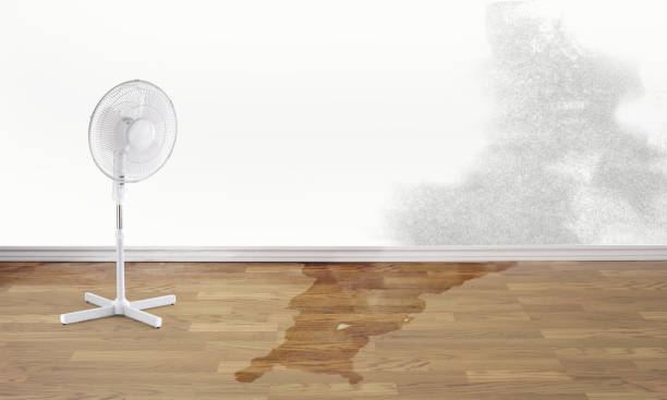 Best Water damage restoration near me  in Brockport, NY