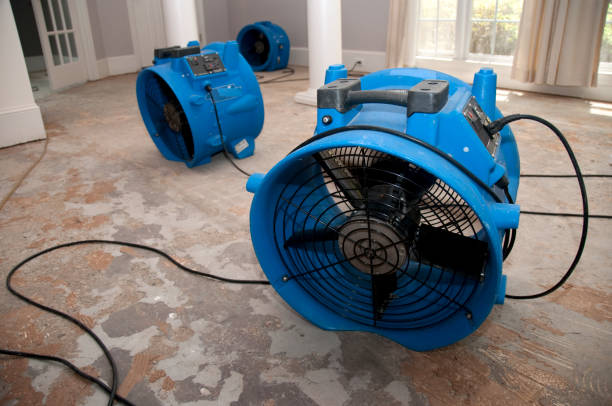 Best Sewage cleanup and water damage restoration  in Brockport, NY