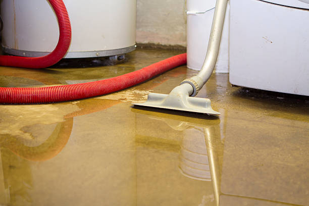 Carpet water damage restoration in Brockport, NY