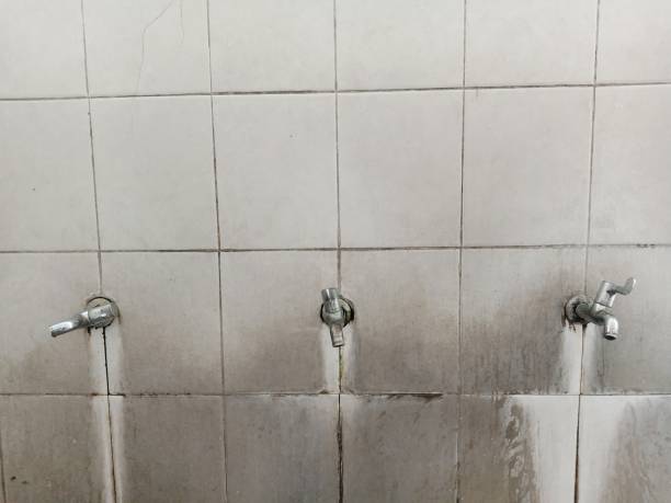 Professional Water damage restoration in Brockport, NY