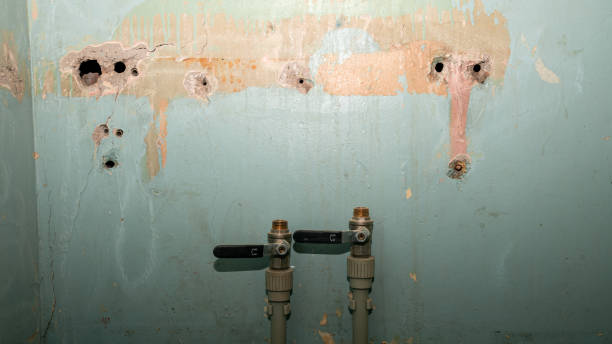 Best Mold removal after water damage  in Brockport, NY