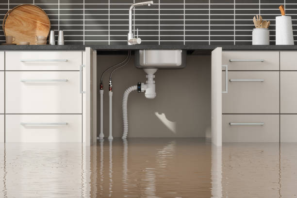 Best Emergency water extraction  in Brockport, NY