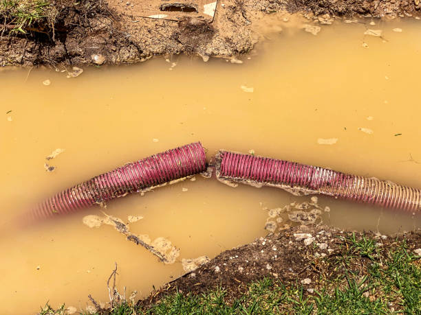 Best Flood restoration services  in Brockport, NY