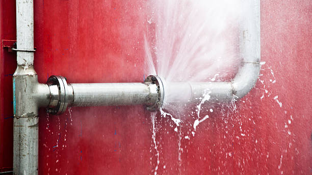 Best Water damage cleanup near me  in Brockport, NY